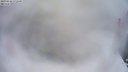./images/quadra/hbidock/20190210/hbidock20190210_172000M.jpg