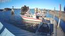 ./images/quadra/hbidock/20190224/hbidock20190224_155500M.jpg
