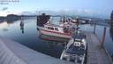 ./images/quadra/hbidock/20190306/hbidock20190306_182500M.jpg