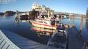 ./images/quadra/hbidock/20190309/hbidock20190309_170500M.jpg