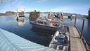 ./images/quadra/hbidock/20190310/hbidock20190310_110500M.jpg