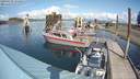 ./images/quadra/hbidock/20190323/hbidock20190323_135500M.jpg
