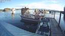 ./images/quadra/hbidock/20190330/hbidock20190330_091000M.jpg