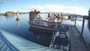 ./images/quadra/hbidock/20190330/hbidock20190330_091500M.jpg