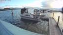 ./images/quadra/hbidock/20190409/hbidock20190409_072500M.jpg