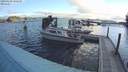 ./images/quadra/hbidock/20190409/hbidock20190409_080500M.jpg