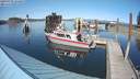 ./images/quadra/hbidock/20190420/hbidock20190420_154001M.jpg