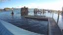 ./images/quadra/hbidock/20190427/hbidock20190427_073500M.jpg