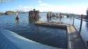 ./images/quadra/hbidock/20190427/hbidock20190427_075500M.jpg