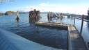 ./images/quadra/hbidock/20190427/hbidock20190427_080000M.jpg