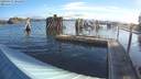 ./images/quadra/hbidock/20190427/hbidock20190427_081000M.jpg