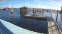 ./images/quadra/hbidock/20190427/hbidock20190427_083000M.jpg