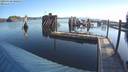 ./images/quadra/hbidock/20190428/hbidock20190428_080000M.jpg