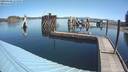 ./images/quadra/hbidock/20190428/hbidock20190428_111500M.jpg