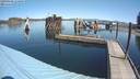 ./images/quadra/hbidock/20190428/hbidock20190428_114500M.jpg