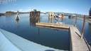 ./images/quadra/hbidock/20190428/hbidock20190428_143000M.jpg
