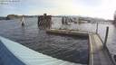 ./images/quadra/hbidock/20190506/hbidock20190506_080500M.jpg