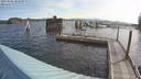 ./images/quadra/hbidock/20190506/hbidock20190506_082500M.jpg