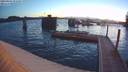./images/quadra/hbidock/20190507/hbidock20190507_052000M.jpg