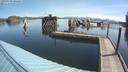 ./images/quadra/hbidock/20190509/hbidock20190509_095000M.jpg