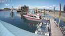 ./images/quadra/hbidock/20190519/hbidock20190519_143500M.jpg