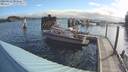 ./images/quadra/hbidock/20190524/hbidock20190524_081000M.jpg