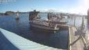 ./images/quadra/hbidock/20190603/hbidock20190603_074000M.jpg