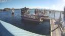 ./images/quadra/hbidock/20190603/hbidock20190603_080000M.jpg