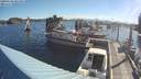 ./images/quadra/hbidock/20190603/hbidock20190603_081000M.jpg