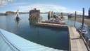 ./images/quadra/hbidock/20190604/hbidock20190604_101500M.jpg
