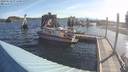 ./images/quadra/hbidock/20190613/hbidock20190613_075500M.jpg