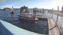 ./images/quadra/hbidock/20190613/hbidock20190613_080000M.jpg