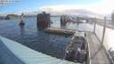 ./images/quadra/hbidock/20190614/hbidock20190614_071500M.jpg