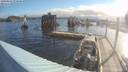 ./images/quadra/hbidock/20190614/hbidock20190614_072500M.jpg