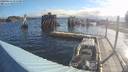 ./images/quadra/hbidock/20190614/hbidock20190614_074000M.jpg