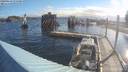 ./images/quadra/hbidock/20190614/hbidock20190614_074500M.jpg