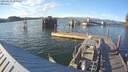 ./images/quadra/hbidock/20190616/hbidock20190616_200500M.jpg
