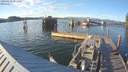 ./images/quadra/hbidock/20190616/hbidock20190616_201500M.jpg