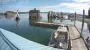 ./images/quadra/hbidock/20190617/hbidock20190617_092500M.jpg
