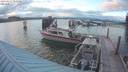 ./images/quadra/hbidock/20190617/hbidock20190617_210501M.jpg