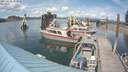 ./images/quadra/hbidock/20190624/hbidock20190624_153000M.jpg