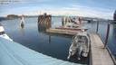 ./images/quadra/hbidock/20190709/hbidock20190709_120500M.jpg
