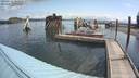 ./images/quadra/hbidock/20190718/hbidock20190718_101500M.jpg