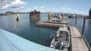 ./images/quadra/hbidock/20190724/hbidock20190724_113500M.jpg