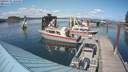 ./images/quadra/hbidock/20190725/hbidock20190725_155500M.jpg