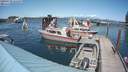 ./images/quadra/hbidock/20190728/hbidock20190728_151500M.jpg