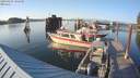 ./images/quadra/hbidock/20190807/hbidock20190807_192500M.jpg