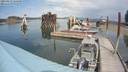 ./images/quadra/hbidock/20190813/hbidock20190813_135000M.jpg