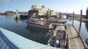 ./images/quadra/hbidock/20190814/hbidock20190814_090000M.jpg