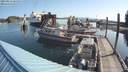 ./images/quadra/hbidock/20190814/hbidock20190814_091000M.jpg